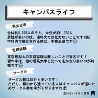画像290