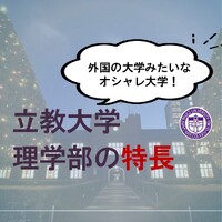 画像365